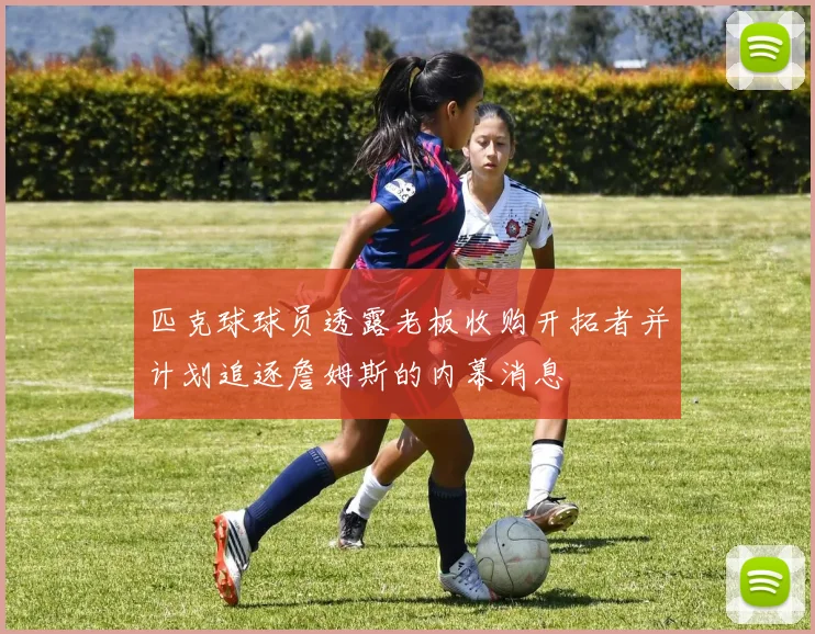 匹克球球员透露老板收购开拓者并计划追逐詹姆斯的内幕消息